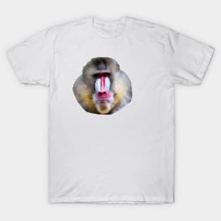 Baboon T-Shirt